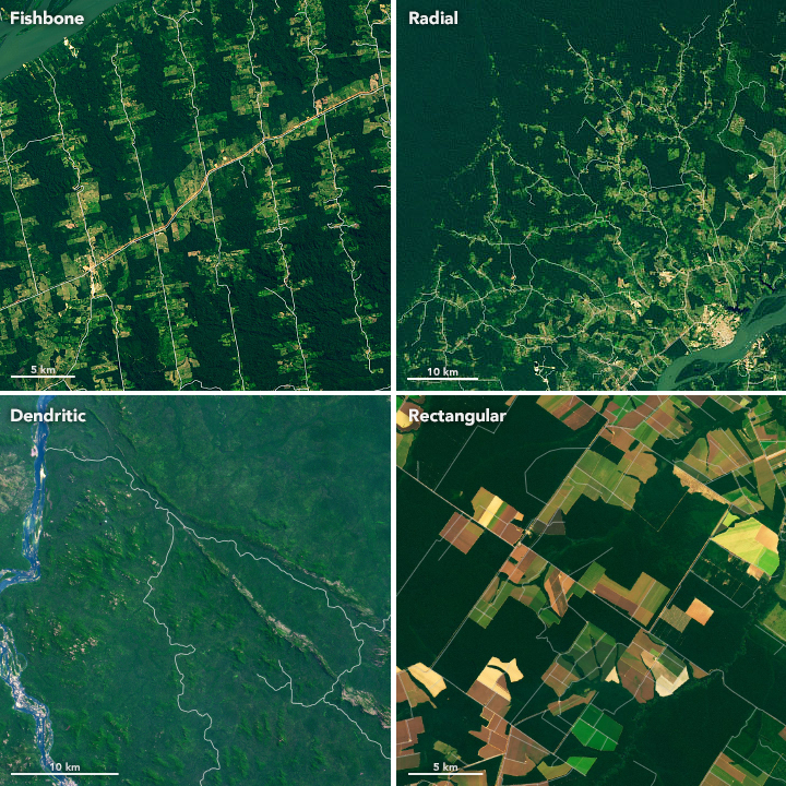 Cerrado - Mato Grosso