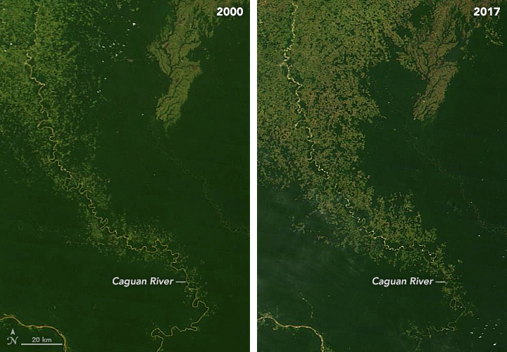 Monitoramento de desmatamento na Amazônia